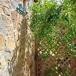 Σπίτι διακοπών Sa Domixedda