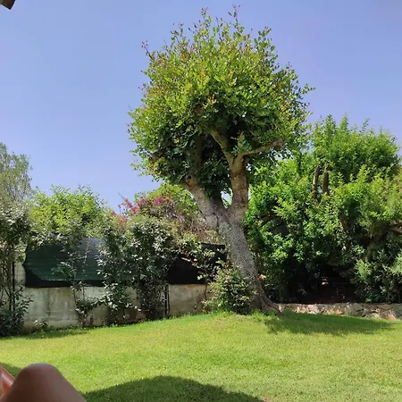 Sa Domixedda Ferienhaus *