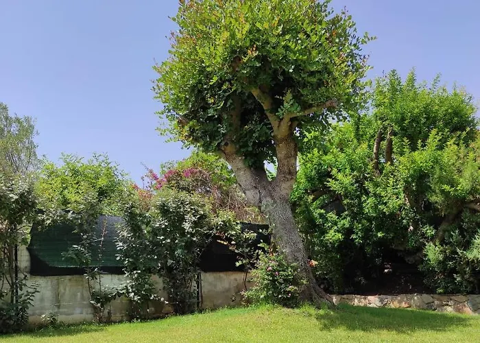 Sa Domixedda Tatil Evi *